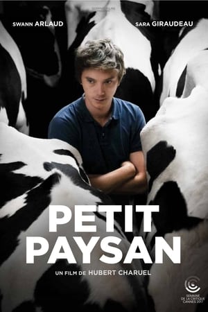 Petit Paysan poszter