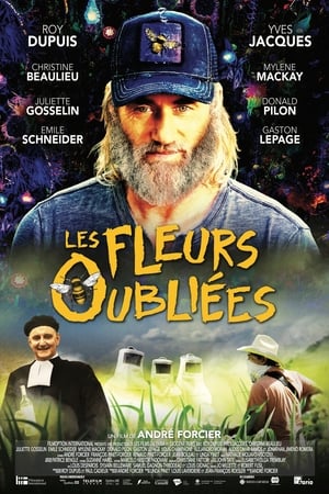 Les fleurs oubliées poszter