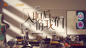 入职后的我们 kép