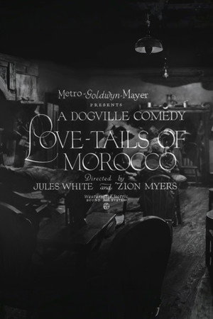 Love-Tails of Morocco poszter