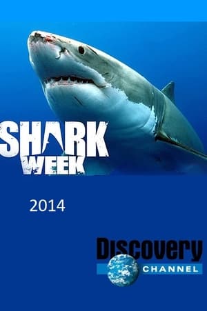 Shark Week