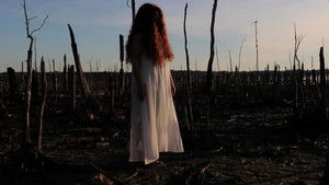 The Girl in the Cornfield háttérkép