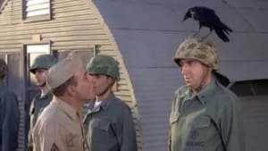 Gomer Pyle, U.S.M.C. Season 3 Ep.28 28. epizód