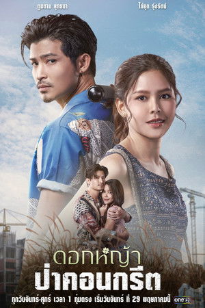 ดอกหญ้าป่าคอนกรีต