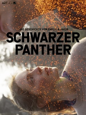 Schwarzer Panther poszter