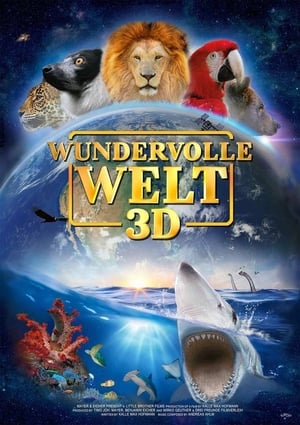 Wonderful World 3D poszter