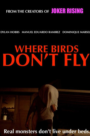Where Birds Don't Fly poszter