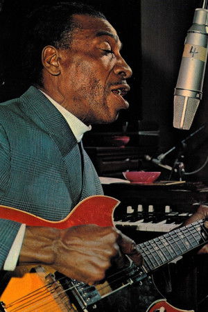 T-Bone Walker profil kép