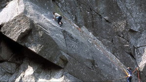 The Risk Business - Chasing Pete Whillance háttérkép