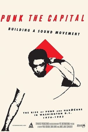 Punk the Capital: Building a Sound Movement poszter