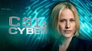 CSI: Cyber helyszínelők kép