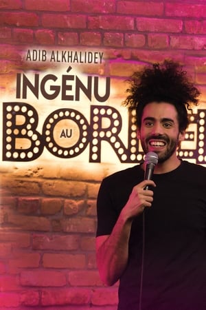 Adib Alkhalidey: Ingénu au Bordel poszter