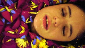 Violeta de mil colores háttérkép