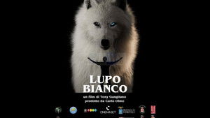 Lupo bianco háttérkép