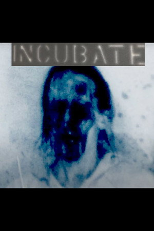 Incubate poszter