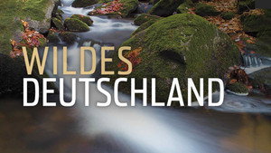 Wildes Deutschland kép