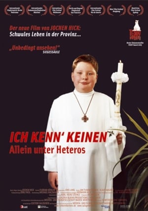 Ich kenn keinen: Allein unter Heteros