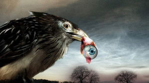 Flu Bird Horror háttérkép