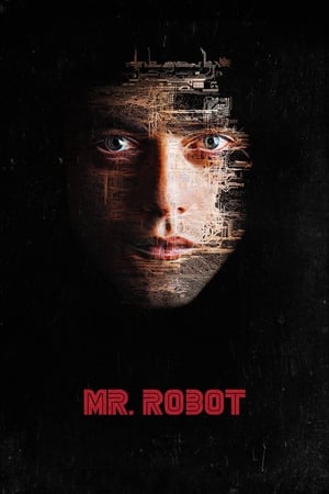 Mr. Robot poszter