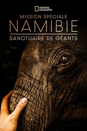 Namibia, Sanctuary of Giants poszter