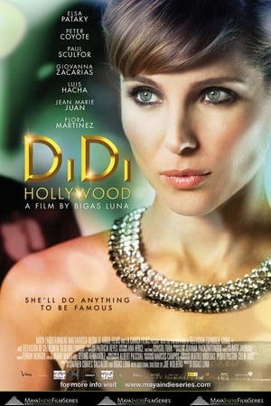 DiDi Hollywood poszter