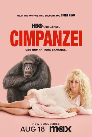 Csimpánzok Hollywoodban poszter