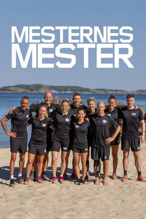 Mesternes mester