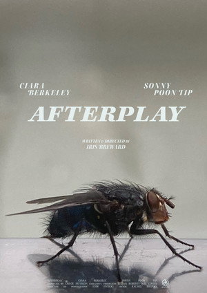 Afterplay poszter