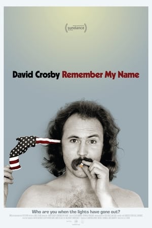 David Crosby: Remember My Name poszter