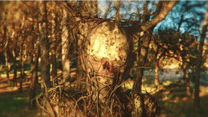 La Bestia en el Bosque háttérkép