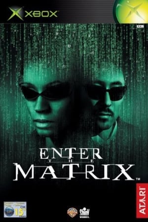 Making 'Enter the Matrix' poszter