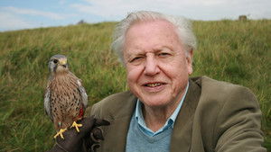 Attenborough - 60 év a vadonban háttérkép