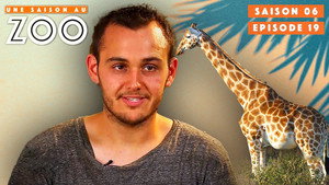 Une saison au zoo Season 6 Ep.19 19. epizód
