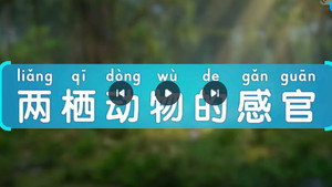 斑马百科 29. évad Ep.4 4. epizód