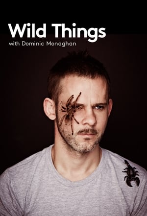 Dominic Monaghan és a vadak poszter