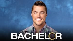 The Bachelor kép