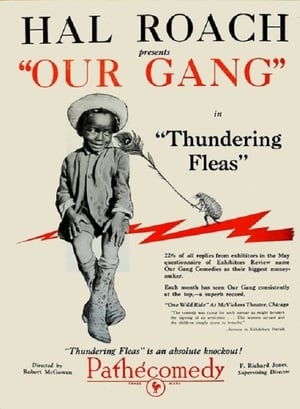 Thundering Fleas poszter