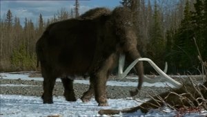 Prehistoric Park - A kihalás mégsem tart örökké 1. évad Ep.2 2. epizód