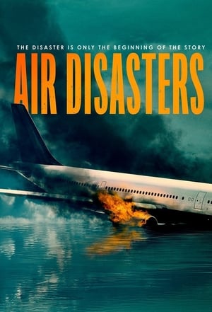 Air Disasters poszter