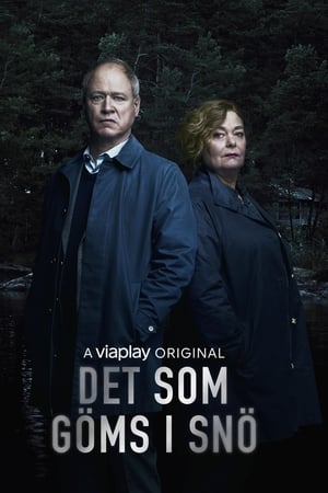 Det som göms i snö