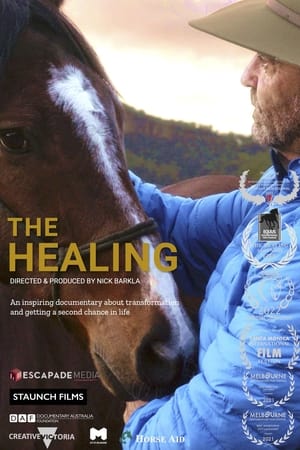 The Healing poszter