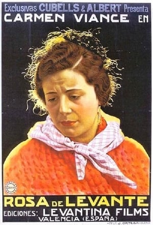 Rosa de Levante