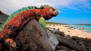 The Dragons of Galapagos háttérkép