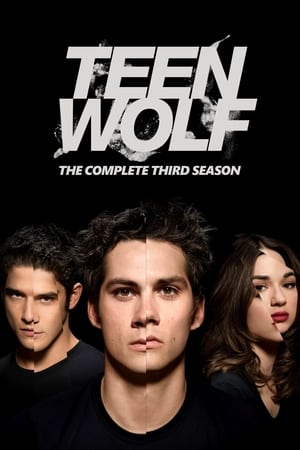 Teen Wolf: Farkasbőrben poszter