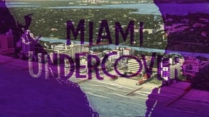 Miami Undercover kép