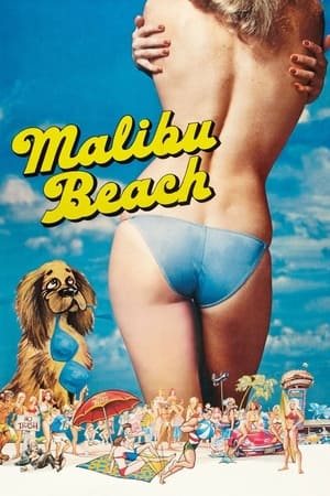 Malibu Beach poszter