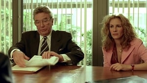 Erin Brockovich - Zűrös természet háttérkép