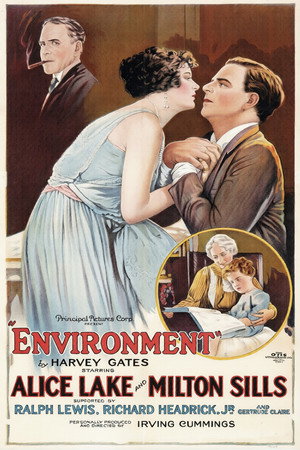 Environment poszter
