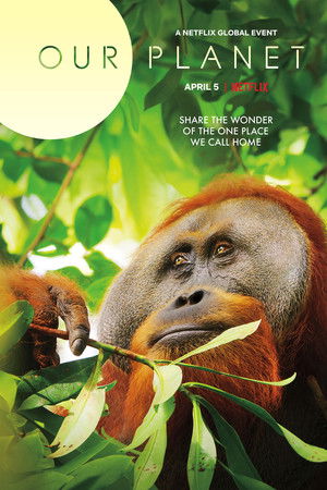 Our Planet – Bolygónk csodái poszter