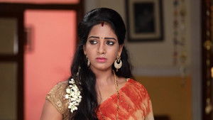 சின்னதம்பி Season 1 Ep.134 134. epizód